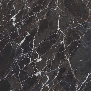 Black, bold veins texture