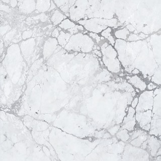 White, grey veins texture