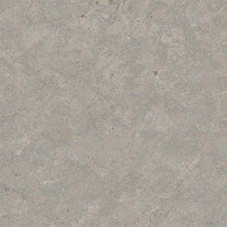 Taupe texture