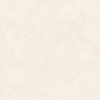 Ivory texture