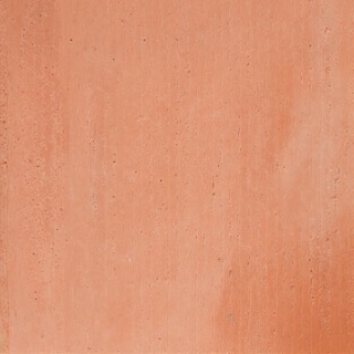 Burnt orange texture