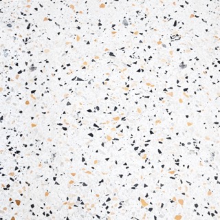 Dalmatian texture