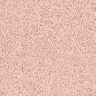 Rose texture
