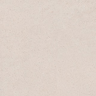 Shell texture