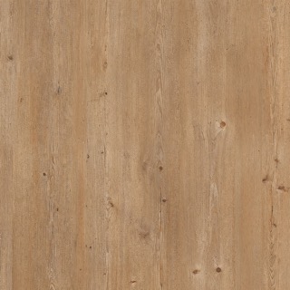 Epicea texture