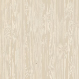 Light Ash Wood texture