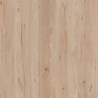 Maple Light texture