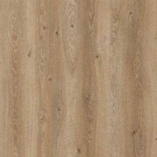 Mountain Oak texture