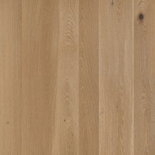 Knotty oak texture