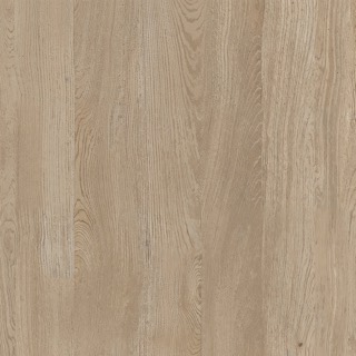 Oak texture