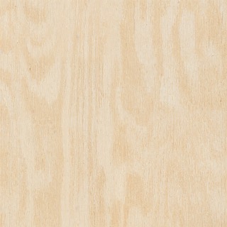 Pine texture