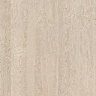 White Maple texture